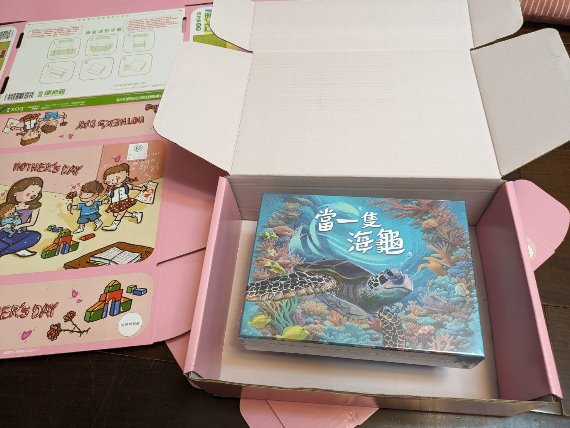 守護大自然的藝術品 海龜篇